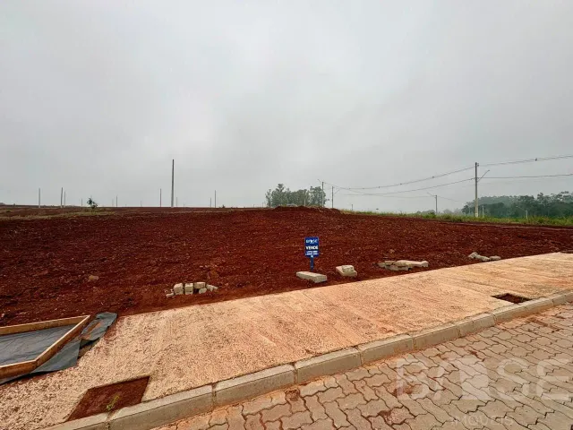 Terreno, foto 3