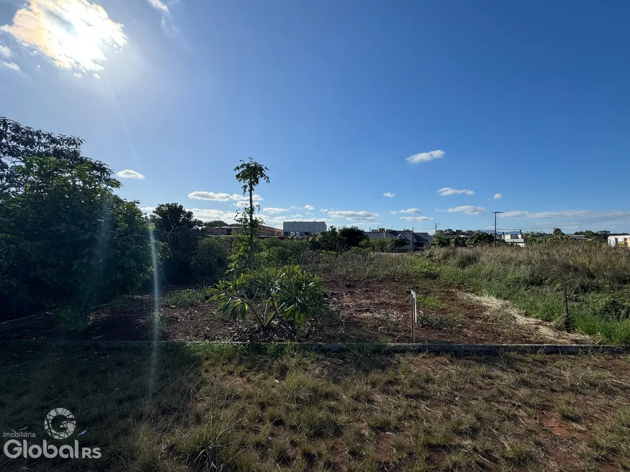 Vista de uma área de terreno com vegetação seca e árvores ao fundo.
