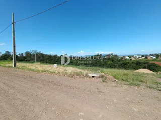 Vista de uma estrada de terra com vegetação ao fundo sob um céu azul.