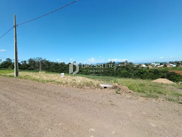 Vista de uma estrada de terra com vegetação ao fundo sob um céu azul.