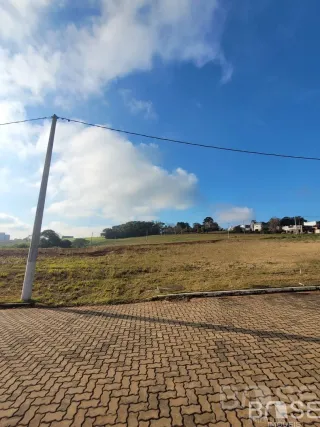 Terreno, foto 2