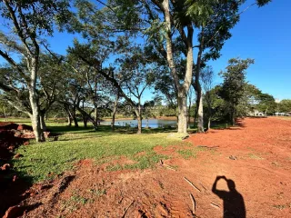 Terreno, foto 4