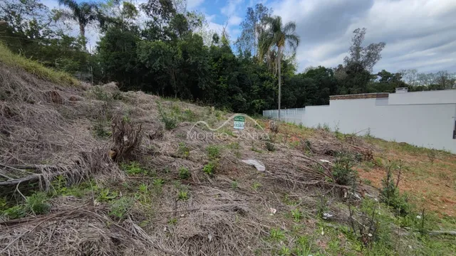 Terreno, foto 2