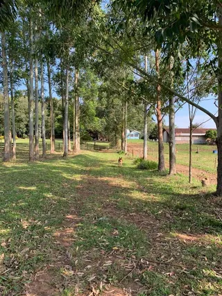 Área rural, foto 17