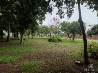 Foto de uma área externa com gramado e árvores em um imóvel.