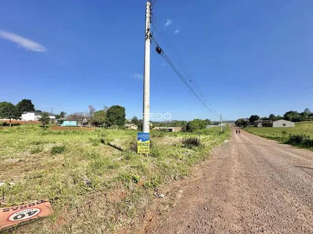Paisagem rural com estrada de terra e poste de luz em Lajeado.