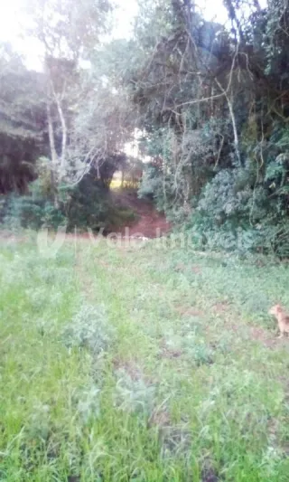 Área rural, foto 14