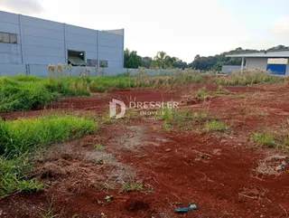 Terreno, foto 1