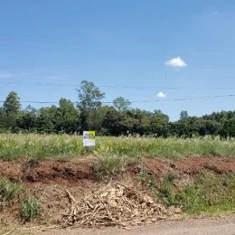 Área rural, foto 6