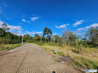 Terreno, foto 9