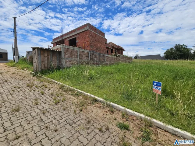 Terreno, foto 2