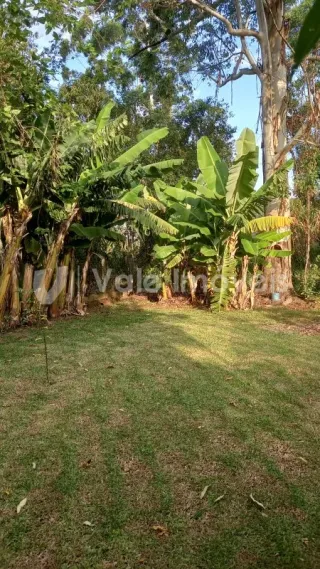 Casa com 5 dormitórios, foto 28