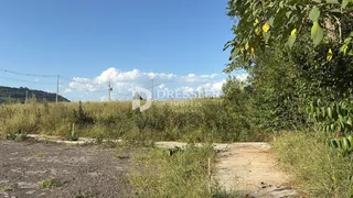 Terreno, foto 3