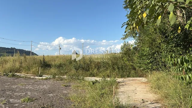 Terreno, foto 3
