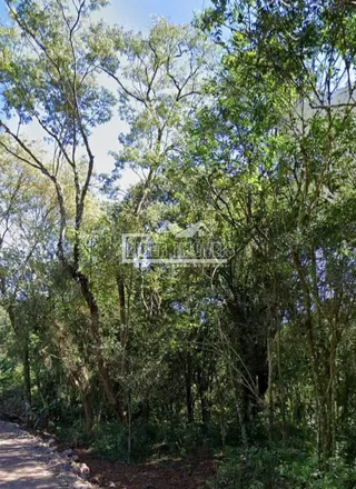 Terreno, foto 3