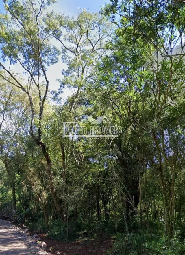 Terreno, foto 3