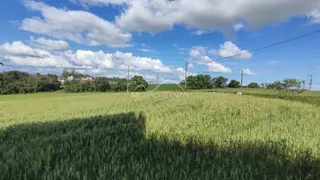 Terreno, foto 3