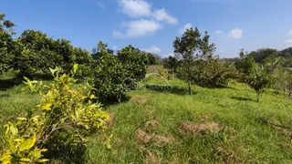 Área rural, foto 13
