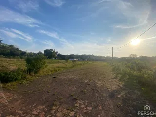 Vista de uma estrada de terra em uma paisagem aberta com vegetação ao fundo.