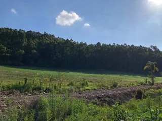 Terreno, foto 2
