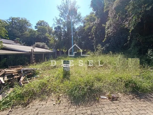 Terreno, foto 1