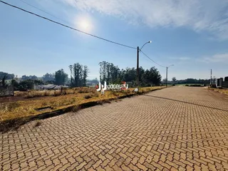 Vista de uma área pavimentada com vegetação seca e árvores ao fundo.