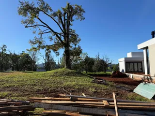 Terreno, foto 2