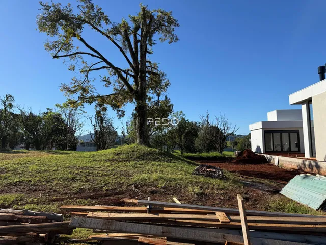 Terreno, foto 2