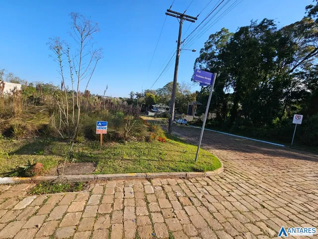 Terreno, foto 2