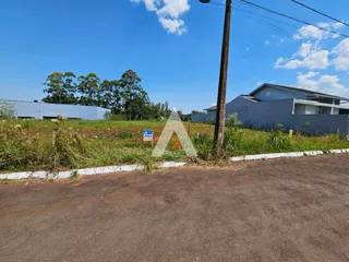 Terreno, foto 2