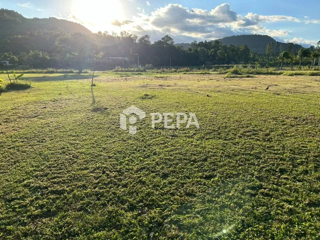 Terreno, foto 2
