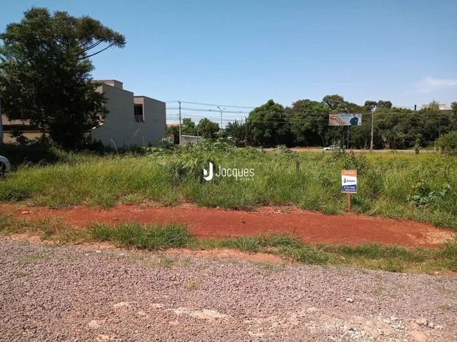Terreno, foto 3