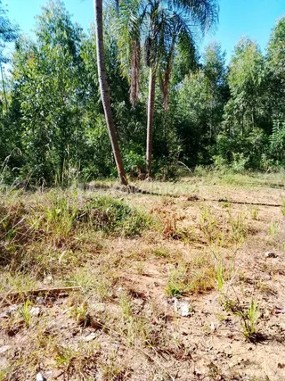 Área rural com 2 dormitórios, foto 20