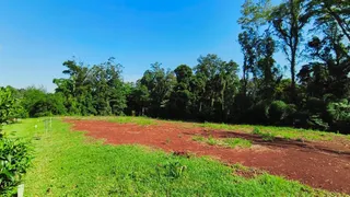 Terreno, foto 9