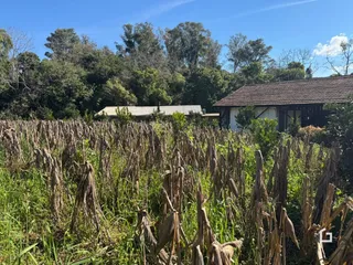 Área rural com 4 dormitórios, foto 10