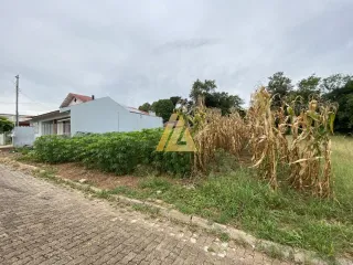 Terreno, foto 2