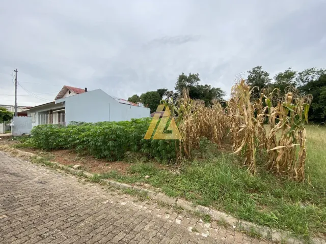 Terreno, foto 2