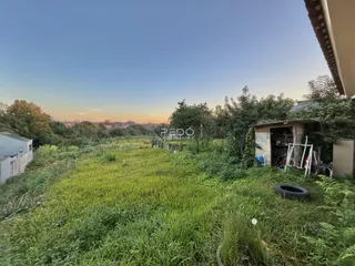 Vista de um terreno com grama alta e vegetação no exterior.