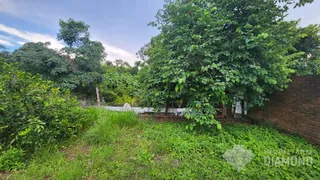 Terreno, foto 3