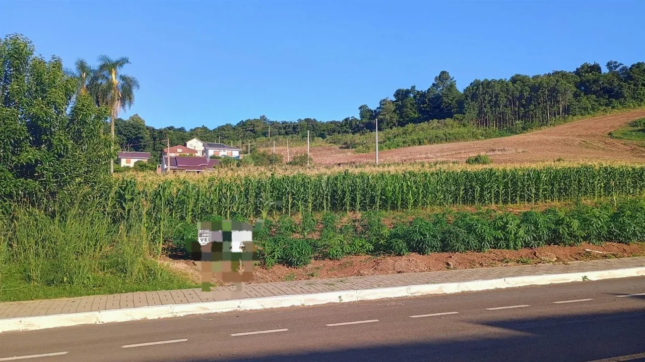 Terreno, foto 1