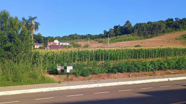 Terreno