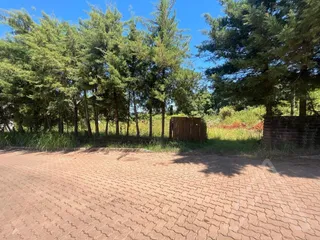 Terreno, foto 2