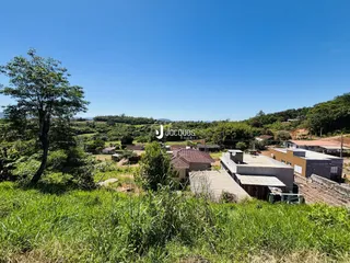 Paisagem rural com vegetação verde em primeiro plano e casas ao fundo.