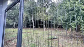 Casa com 3 dormitórios, foto 85