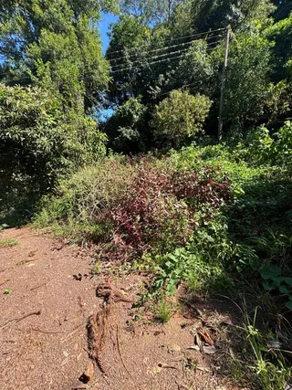 Área rural, foto 6