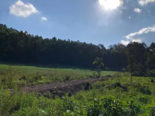 Terreno, foto 5