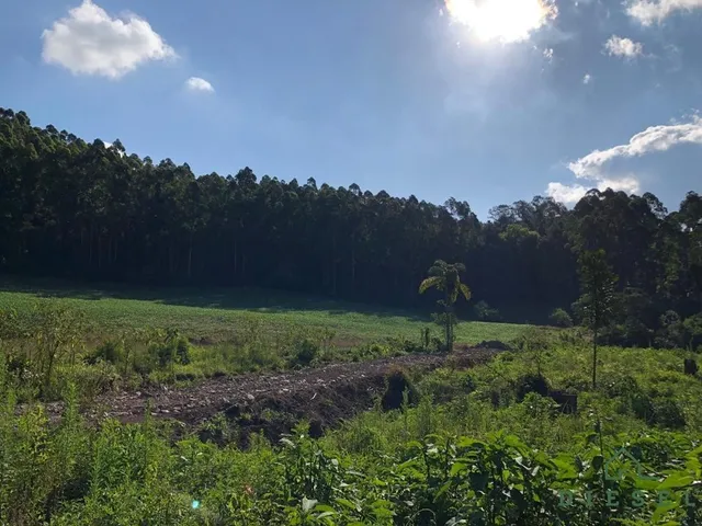 Terreno, foto 5
