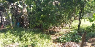 Casa com 2 dormitórios, foto 9