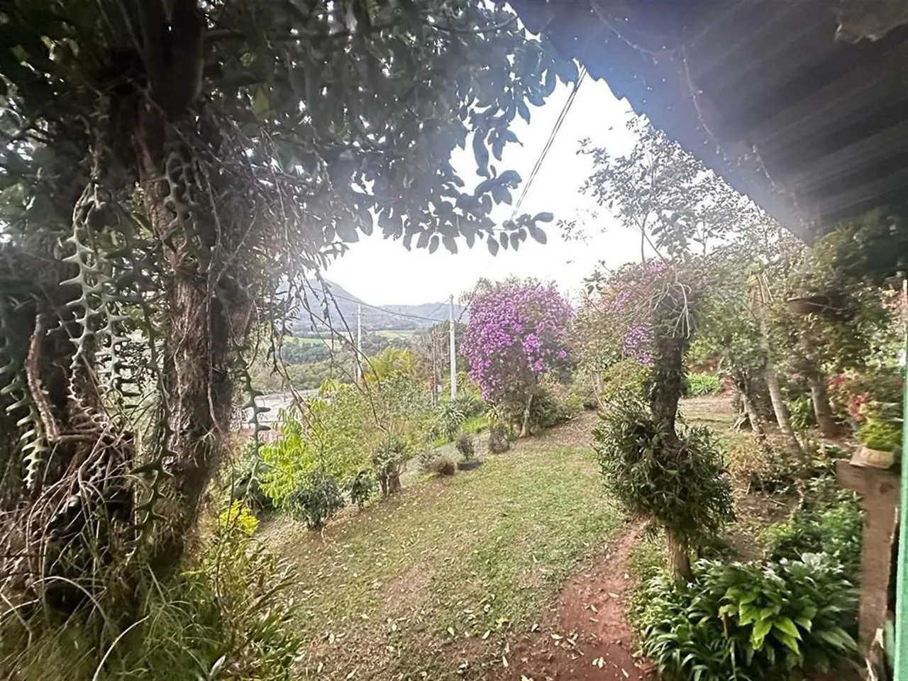 Área rural com 3 dormitórios, foto 1