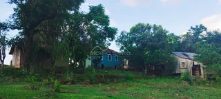Vista externa de uma propriedade rural com vegetação densa e estruturas de madeira.